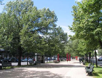 Unter den Linden i Berlin